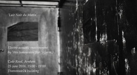this honourable fish, performance @ transmute24, 24.9.2016, Arnhem