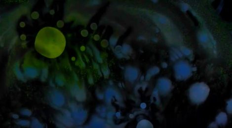 Performance-Konzerte mit Livepainting von Stefano Giorgi, 25.8. + 26.8.2017, dock4, Kassel