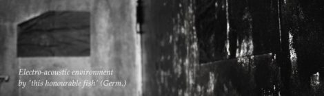 this honourable fish, performance @ transmute24, 24.9.2016, Arnhem